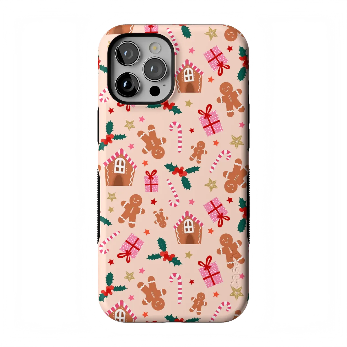 Frosted Wishes | Sweet Treat Case