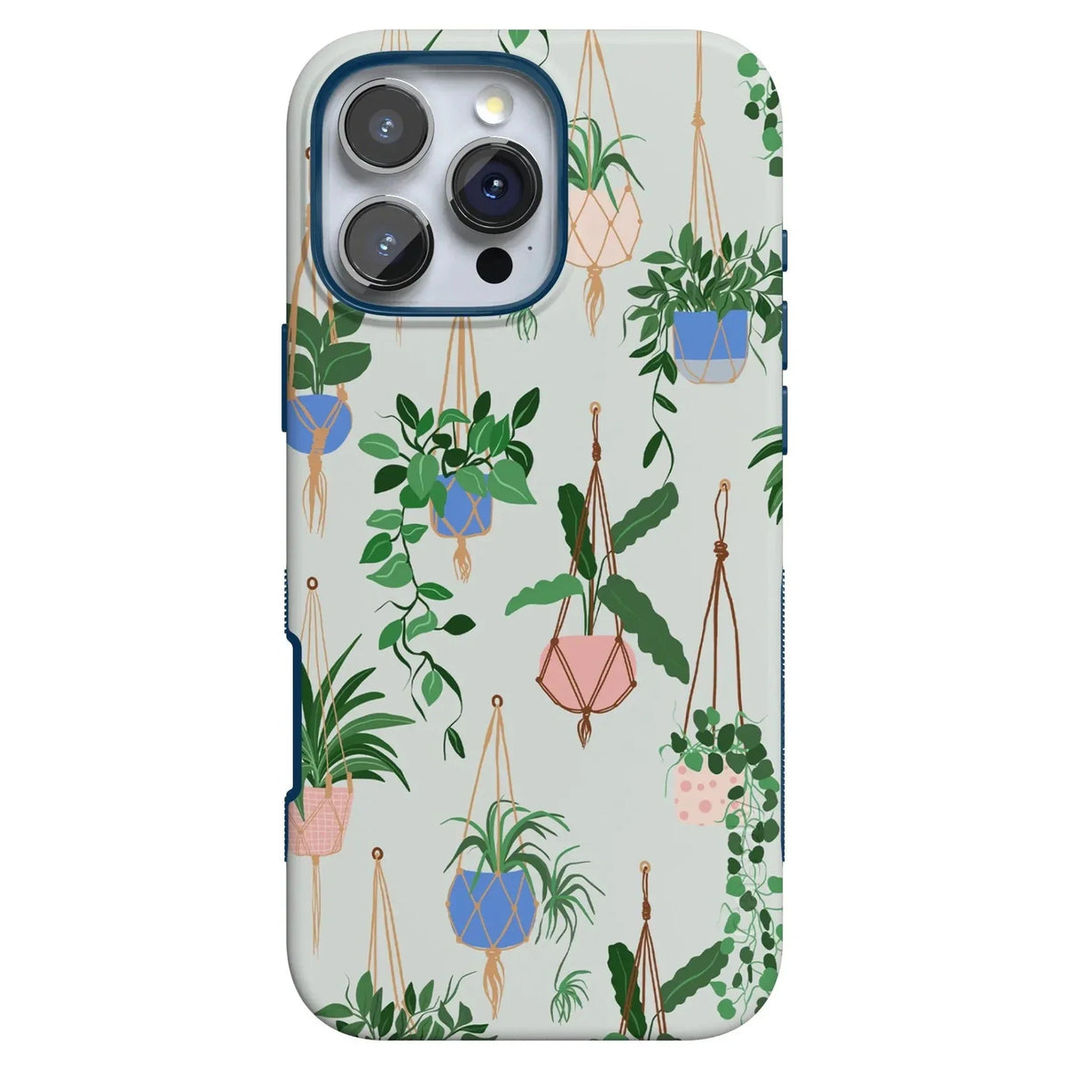 Hanging Around | Potted Plants Floral Case