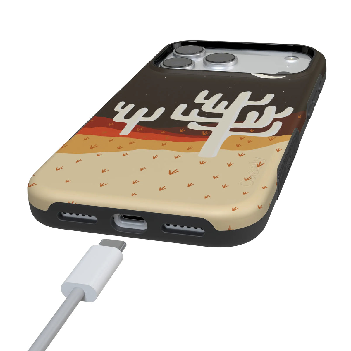 Desert Nights | Cactus Colorblock Case