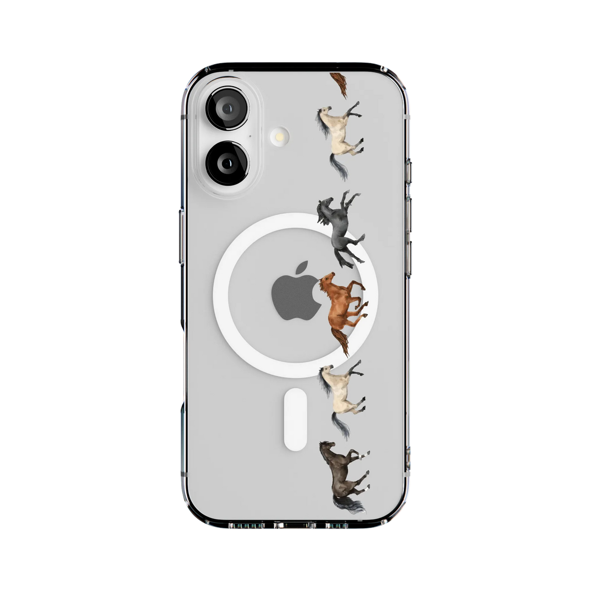 Stallion Stampede | Wild Horses Case
